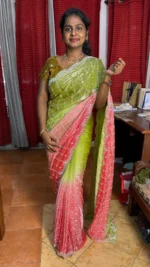 Dual shade saree