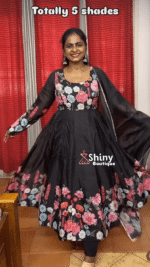 Organza Anarkali